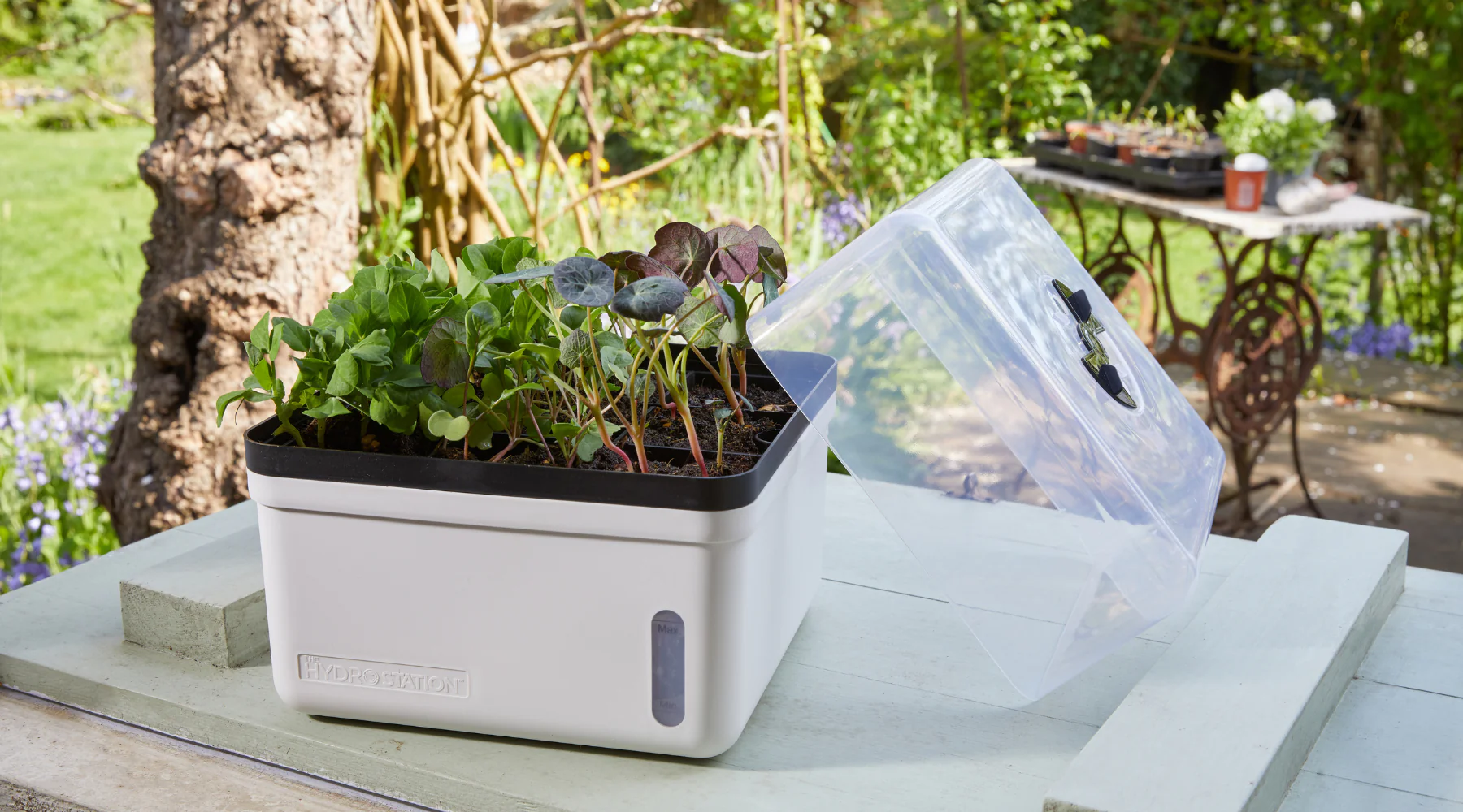 Welcome to Our Store