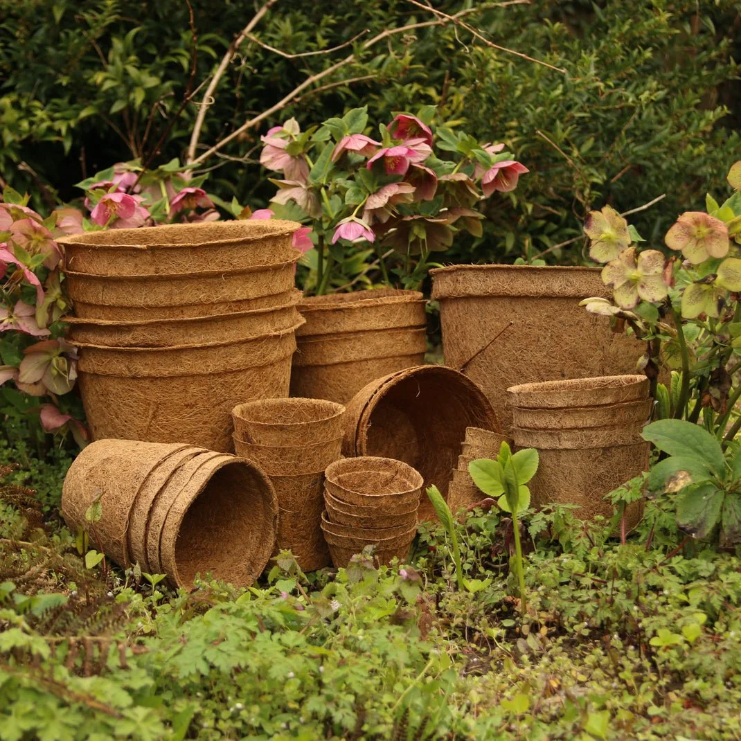28cm Coir Plant Pots – 100% Biodegradable Pots & Peat-Free | For Bigger Plants - Image 10