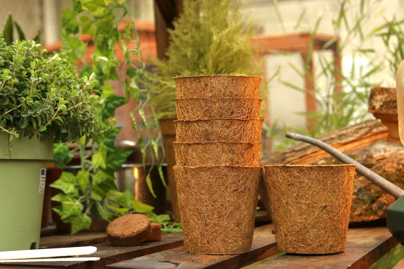 10cm Coir Plant Pots – 100% Biodegradable Pots & Peat-Free | Starter Pots - Image 9