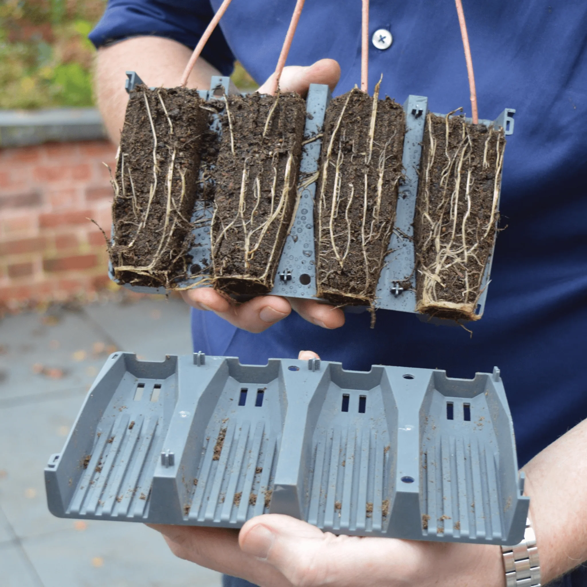 28 Cell Deep Root Seed Success Kit, Deep Cell Propagator for Long Rooted Plants - Image 12