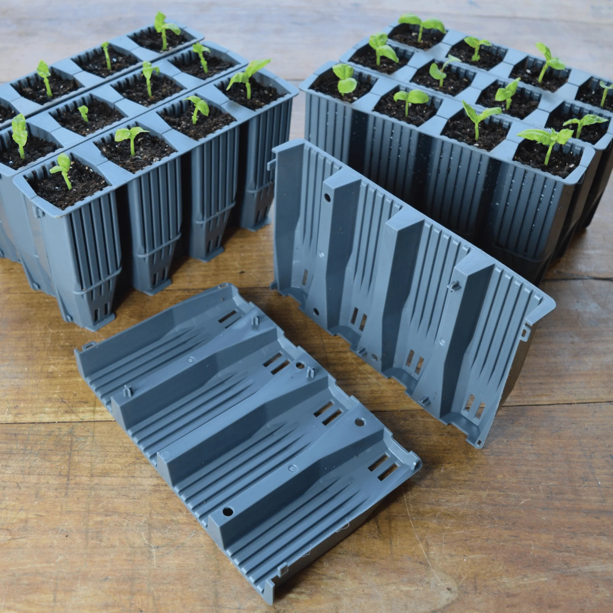 28 Cell Deep Root Seed Success Kit, Deep Cell Propagator for Long Rooted Plants - Image 13