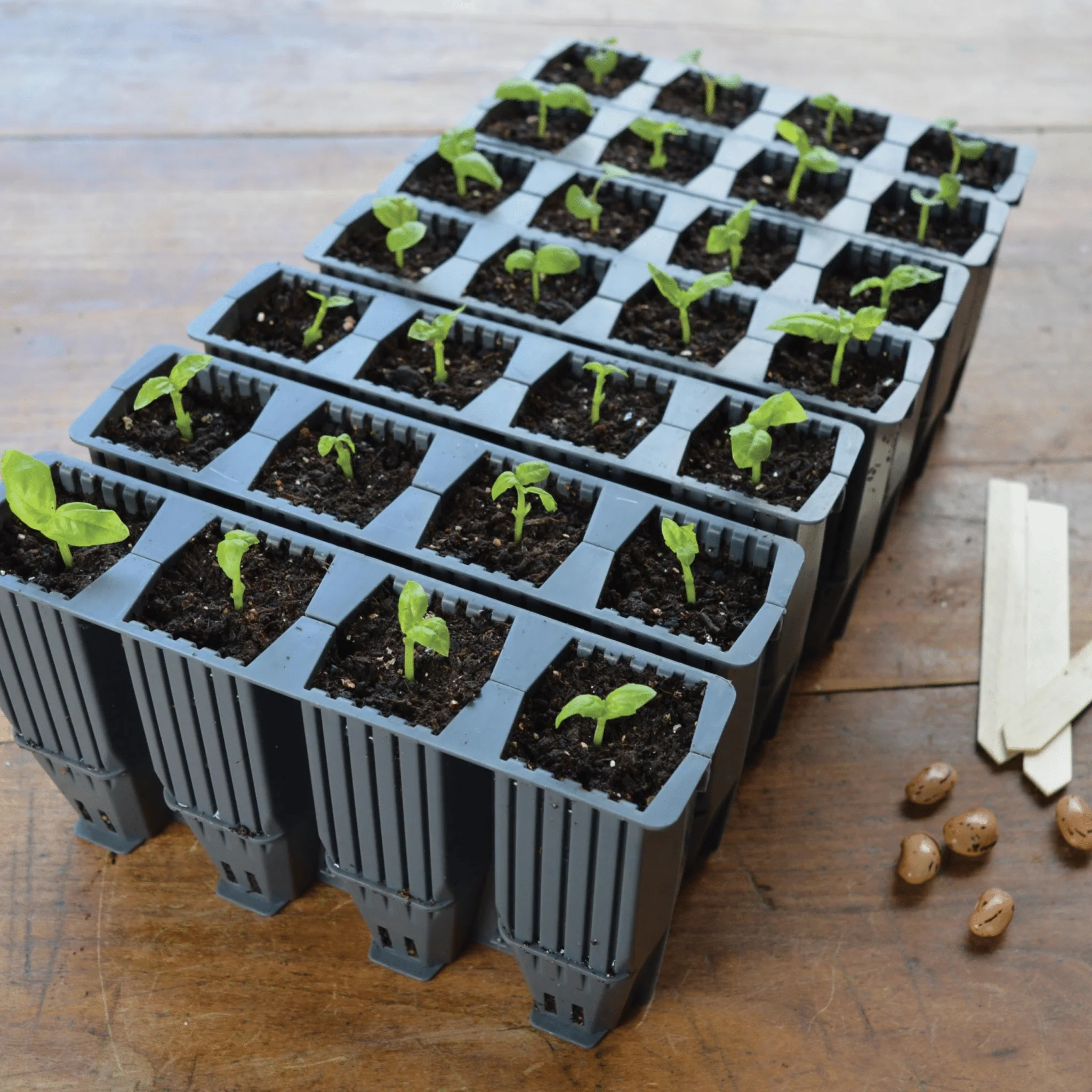 28 Cell Deep Root Seed Success Kit, Deep Cell Propagator for Long Rooted Plants - Image 14