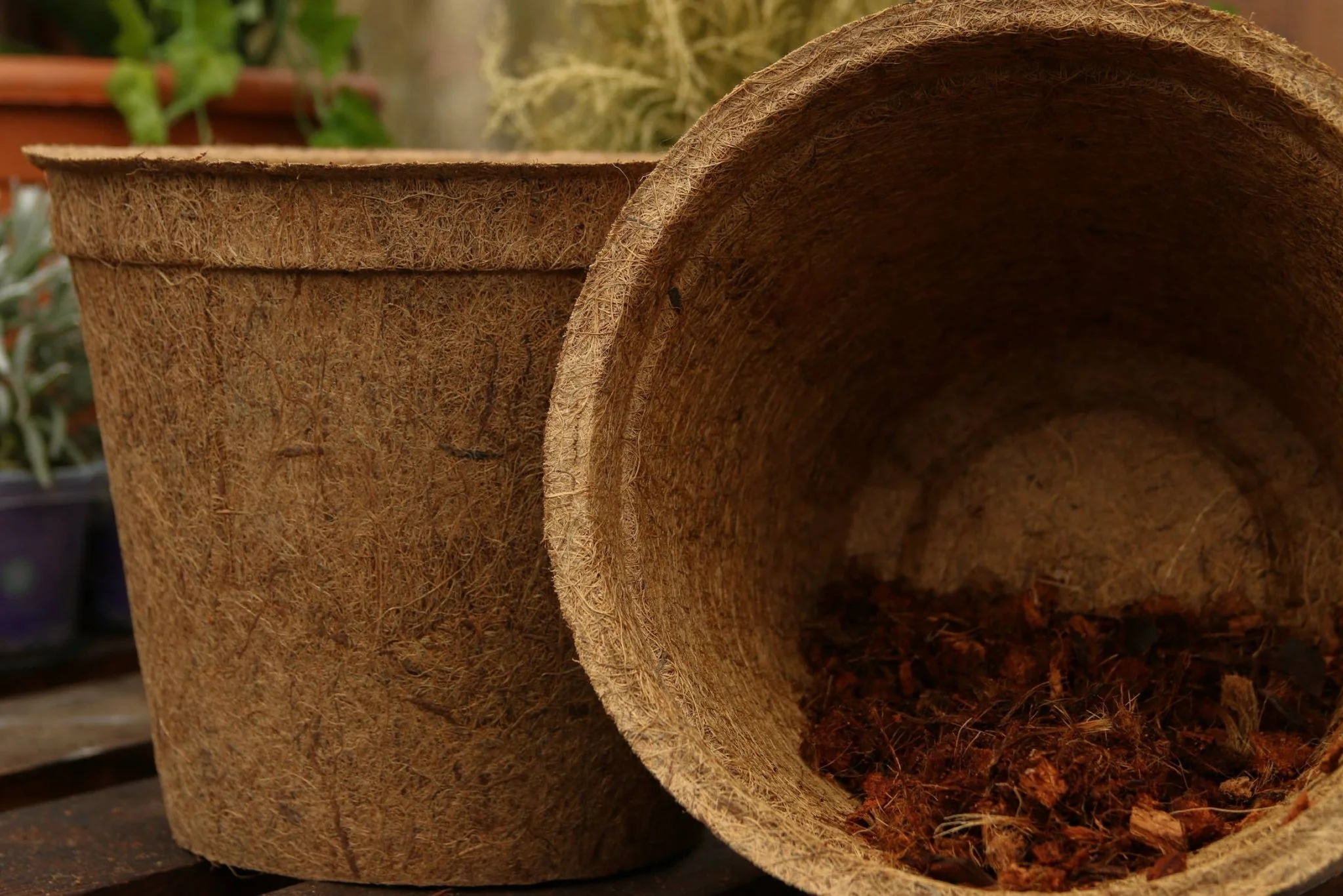28cm Coir Plant Pots – 100% Biodegradable Pots & Peat-Free | For Bigger Plants - Image 9